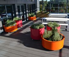 Roof terrace planters - Nottingham Trent University