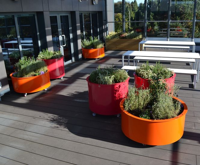 Roof terrace planters - Nottingham Trent University