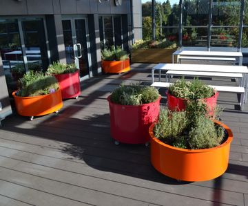Roof terrace planters - Nottingham Trent University