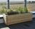 Roof terrace planters - Nottingham Trent University 2