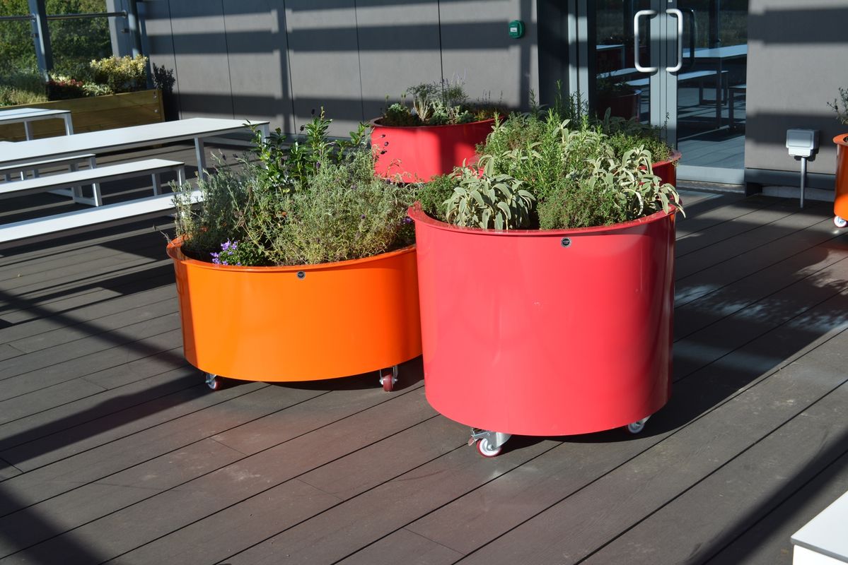 Images for Roof terrace planters Nottingham Trent University