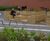 Grenadier planter / seating - Parklet unit 01 2