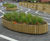 Timber parklets and planters for Worthing Council 1