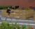 Timber parklets and planters for Worthing Council 0