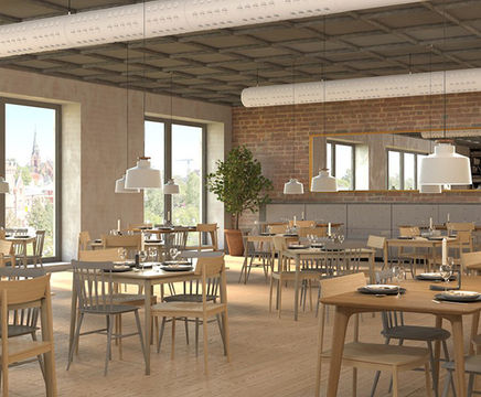 IBIS disc duct diffuser for supply air