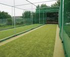 Cricket cages