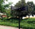 Fingerposts 8