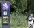 Digital wayfinding displays for Smart City schemes 7