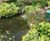 Water features for Center Parcs Woburn Forest 2