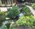 Water features for Center Parcs Woburn Forest 5
