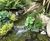 Water features for Center Parcs Woburn Forest 4