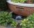 Water features for the DNRC  4