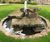 Water features for the DNRC  2