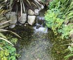 Water features for Center Parcs Woburn Forest