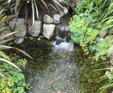 Water features for Center Parcs Woburn Forest