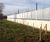 Lochrin® Combi High Security CPNI Rated palisade fencing 6