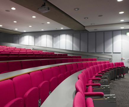 RPG BAD Panel - combined acoustic absorber / diffuser