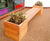 External furniture for Chester CAMHS inpatient unit 9