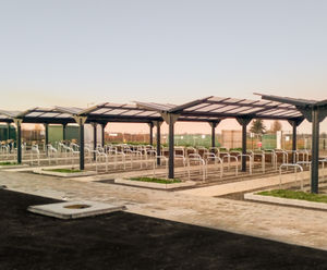 400 cycle spaces with shelters for Sybil Andrews School