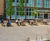 Huge bespoke seating unit for Manchester University campus park 3