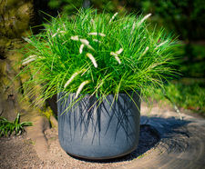 Derwent GRP Planter