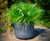 Derwent GRP Planter 0