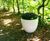 Drawbell GRP Planter 6