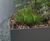 Inspira Modular Planting System 10