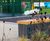 Bespoke canopy, shelters and seating for visitor centre 8