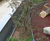 Inspira Form - curved retaining wall planter system 6