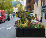 Steel planter barriers for Elizabeth Street, Belgravia - on this page