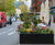 Steel planter barriers for Elizabeth Street, Belgravia 0