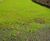 TERRAM TurfProtecta™ - HDPE grass reinforcement mesh 2