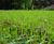 TERRAM TurfProtecta™ - HDPE grass reinforcement mesh 4