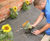 TERRAM WeedGuard™ - geotextile for weed suppression 3