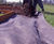 TERRAM WeedGuard™ - geotextile for weed suppression 0