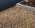 BodPave® 85 cellular porous pavers 10