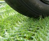 GrassProtecta™ - heavy-duty HDPE grass reinforcement mesh - on this page