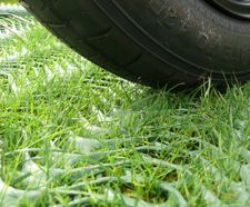 GrassProtecta™ - heavy-duty HDPE grass reinforcement mesh