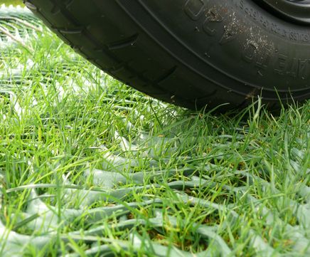 GrassProtecta™ - heavy-duty HDPE grass reinforcement mesh