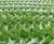 GrassProtecta™ - heavy-duty HDPE grass reinforcement mesh 5