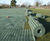 GrassProtecta™ - heavy-duty HDPE grass reinforcement mesh 4