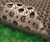 TERRAM Safety Rubber Mat - for play areas and footpaths 0