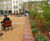 Seating designs for Clapham Old Town rejuvenation 8