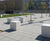 Mago - Cub bench  1