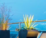 Surf-inspired Bespoke Planters - on this page