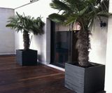 Julius Ceramic Style - ribbed fibreglass planter - on this page