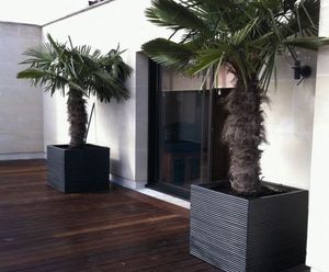 Tree planters
