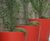 TREE3 lightweight GRP tree planters 1