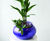 London Bowls - waterproof stone-effect planter bowls 1